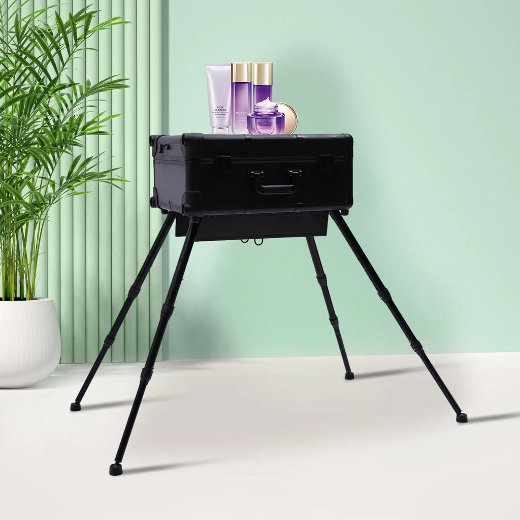 DENEST Rolling Makeup Case Trolley Train Box Organizer with Key Travel Cosmetic Luggage