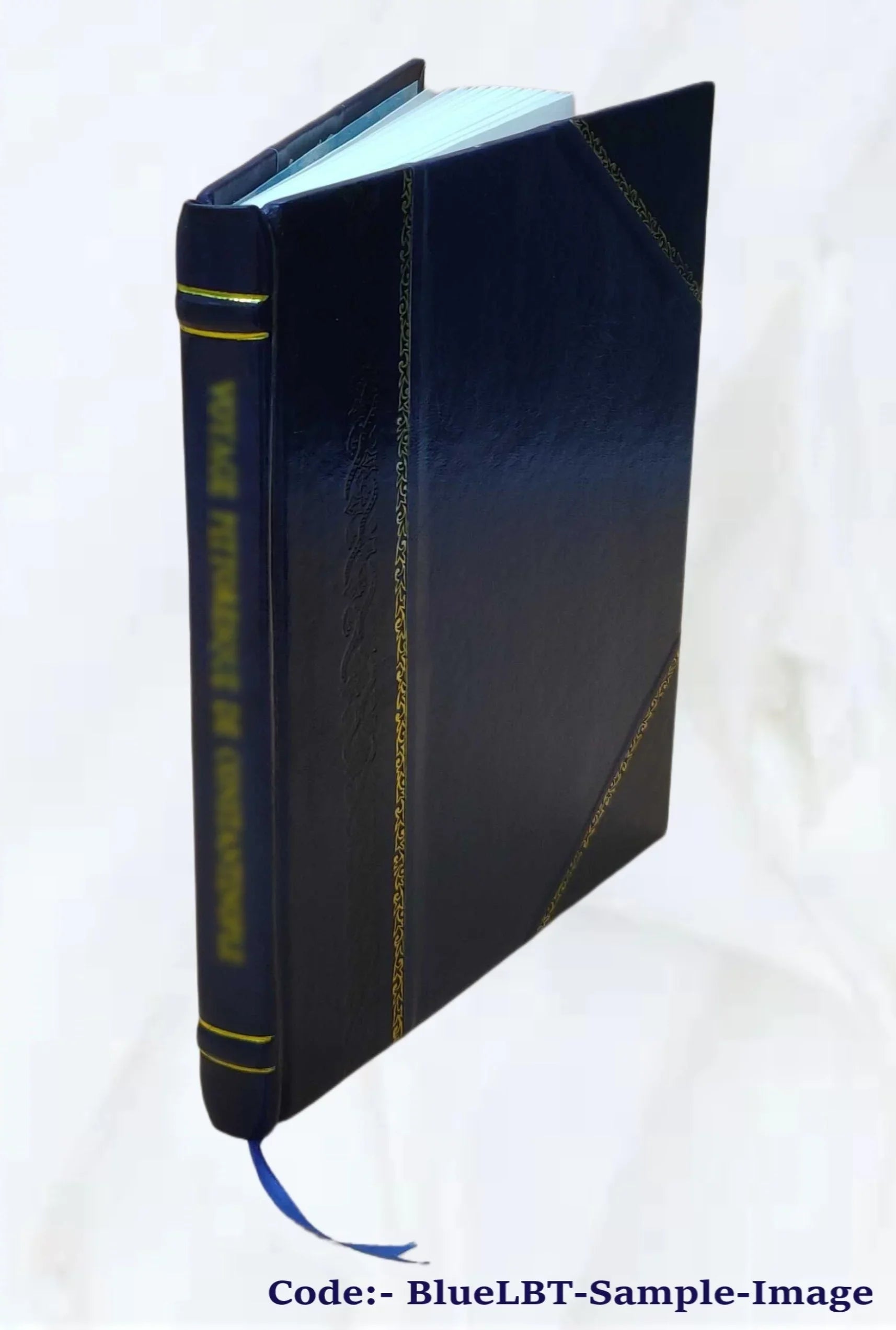 Evropa po stránce fyzicky zeměpisné 1926 [Leather Bound]