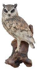 Ebros Realistic Nature Wildlife Eurasian Eagle Owl Perching On Tree Statue 14.25"Tall Lifelike Nocturnal Owl Taxidermy With Glass Eyes Figurine