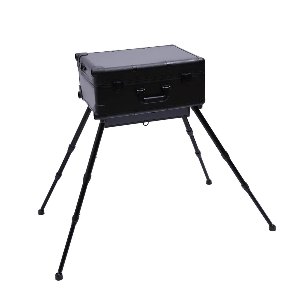 DENEST Rolling Makeup Case Trolley Train Box Organizer with Key Travel Cosmetic Luggage