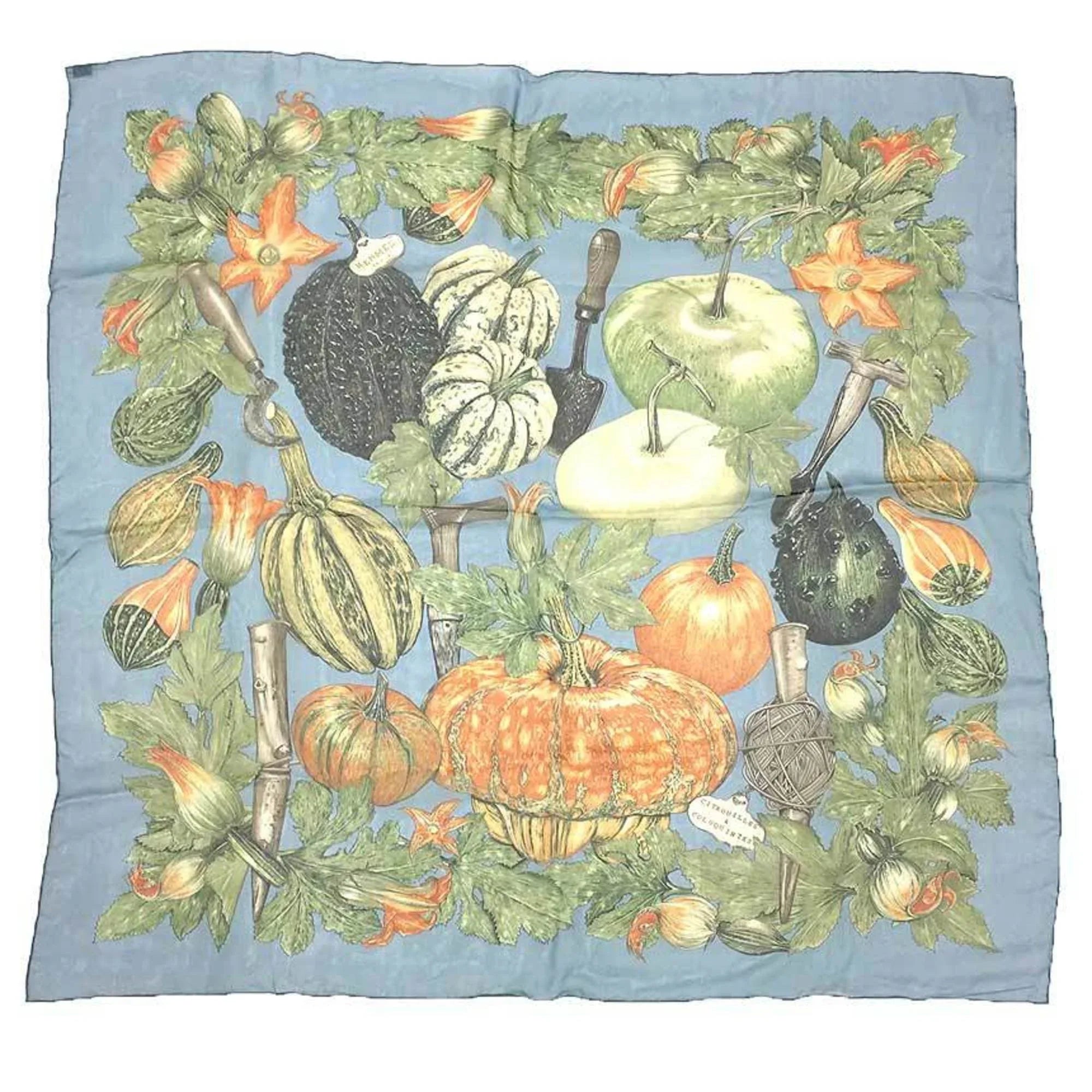 Pre-Owned HERMES Hermes Carre 90 Scarf Muffler CITROUILLES & COLOQUINTES Pumpkin and colocynth Silk muslin 100% silk Chiffon scarf (Good)
