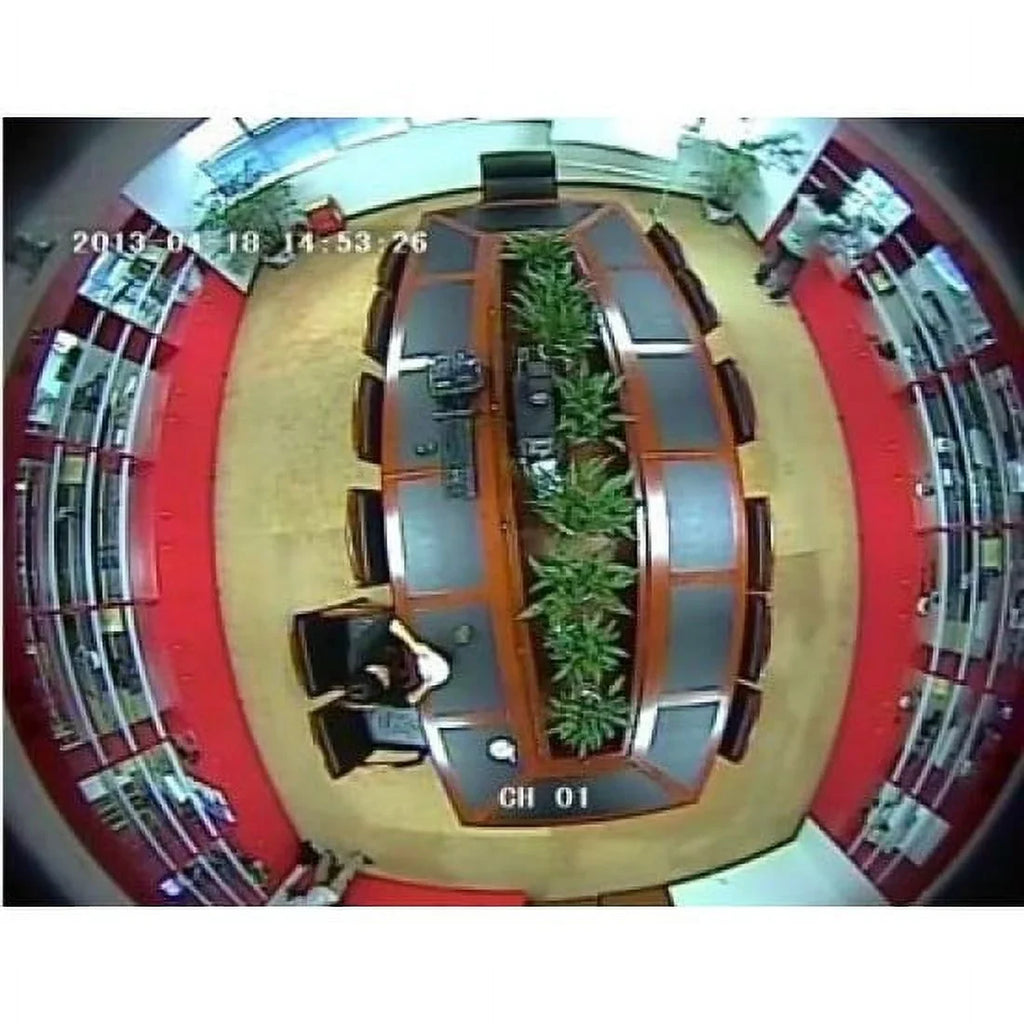 CCTV 700TVL Fisheye Analog Panoramic Mini Vandal Security camera 360 Degree Low Light