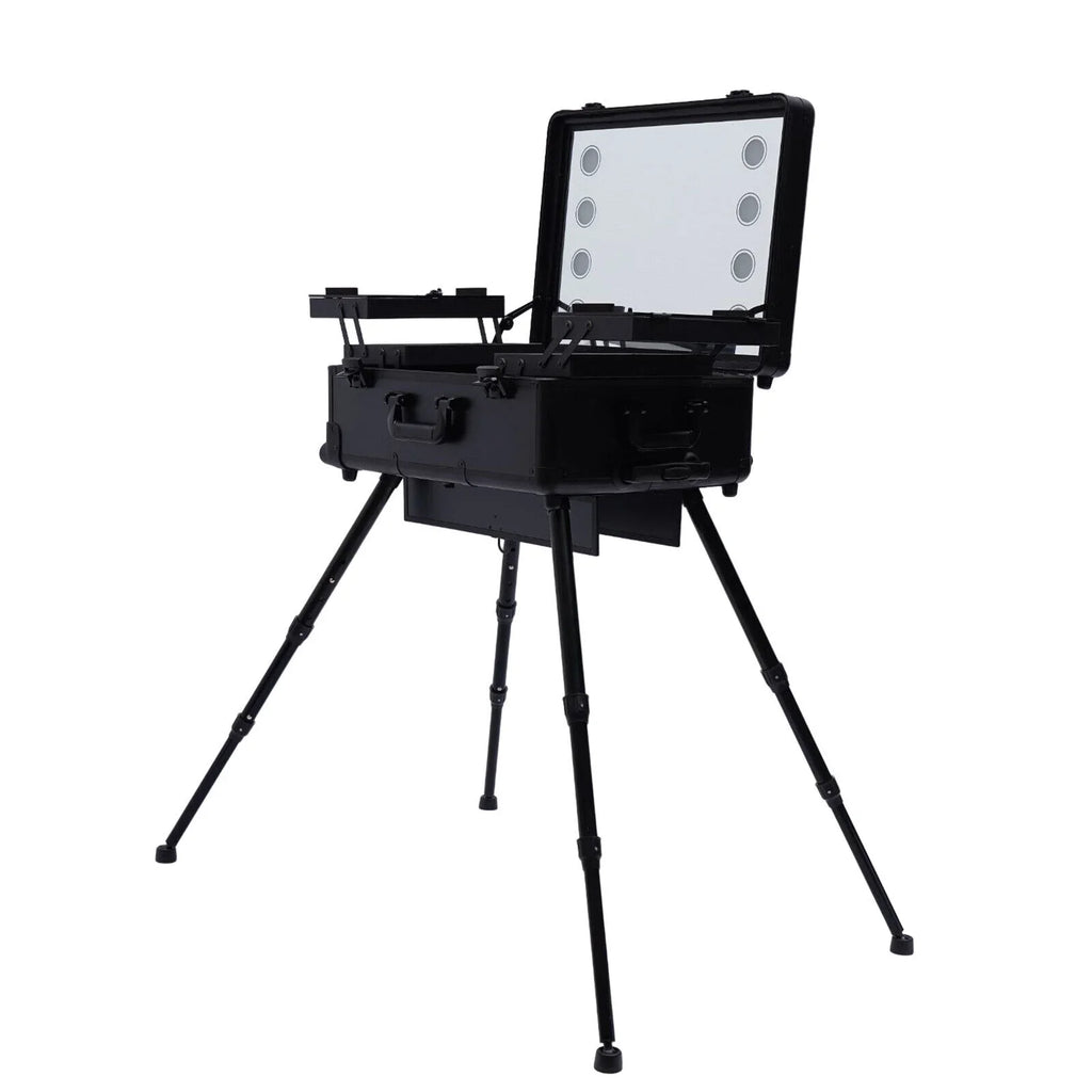 DENEST Rolling Makeup Case Trolley Train Box Organizer with Key Travel Cosmetic Luggage