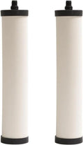Franke FRC06-2PK Cartridge, 2 Count (Pack of 1), White