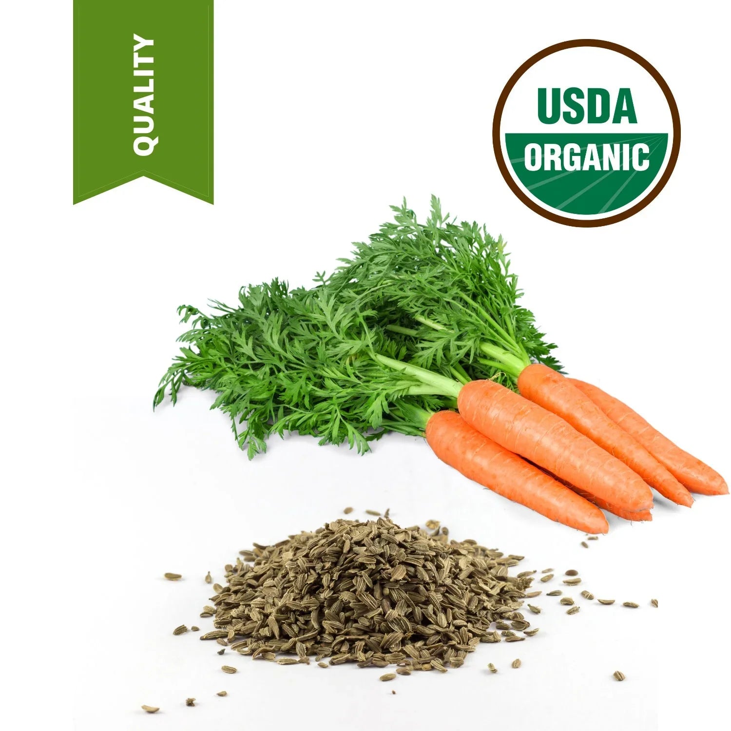 4 lbs 100% Pure High Standard Carrot Seed Oil Certified Unrefined Carrier Oil