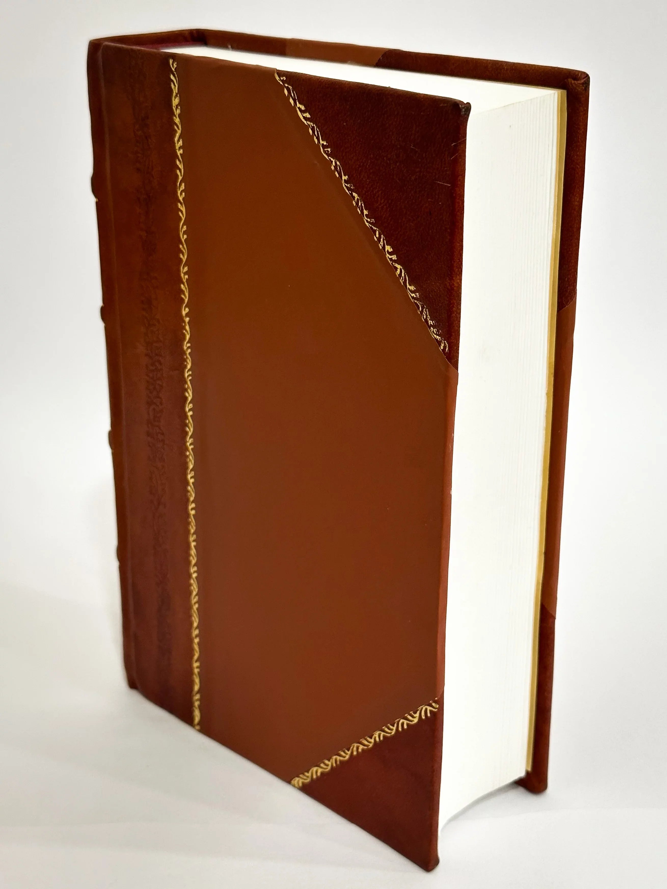 Biographical History of the American Irish in Chicago / Ffrench, Charles (1897) (1897) [Leather Bound]