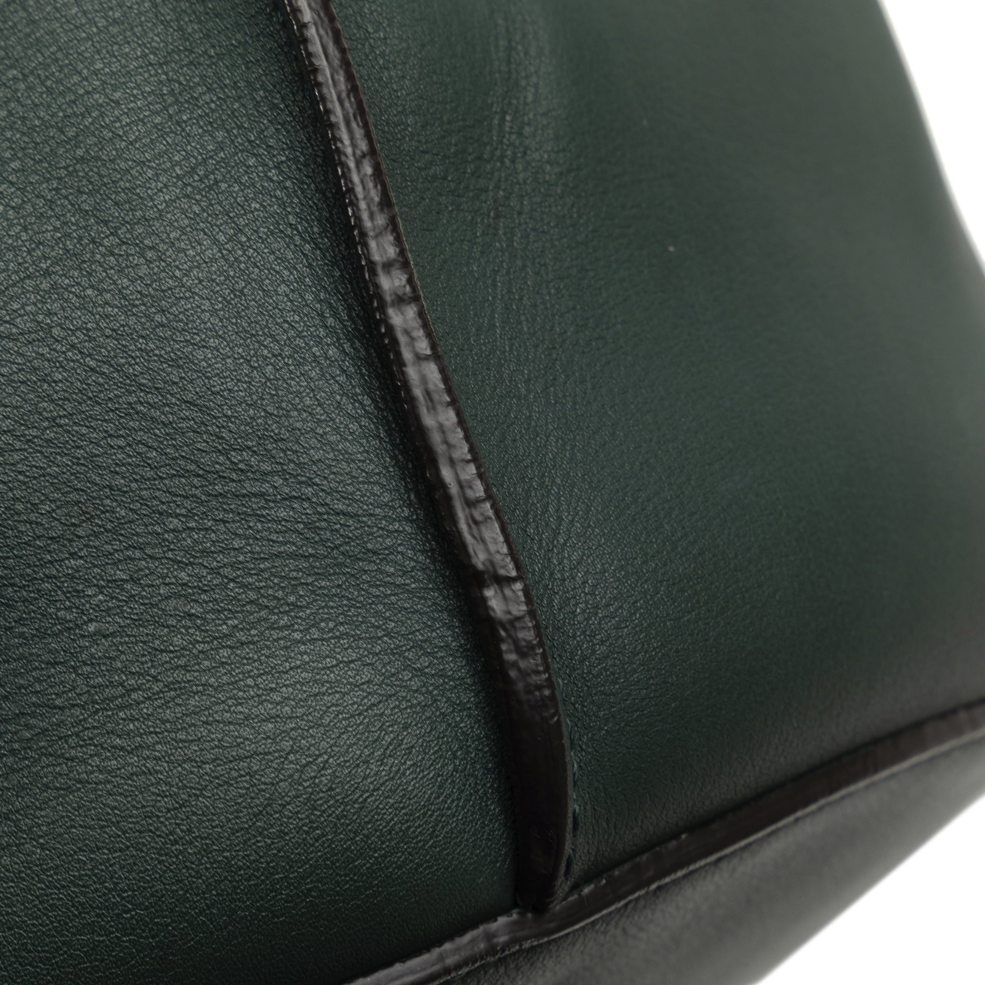 Pre-Owned Authenticated Celine Big Bag Bucket Calf Leather Green Bucket Bag DrawstringBag Unisex (Good)