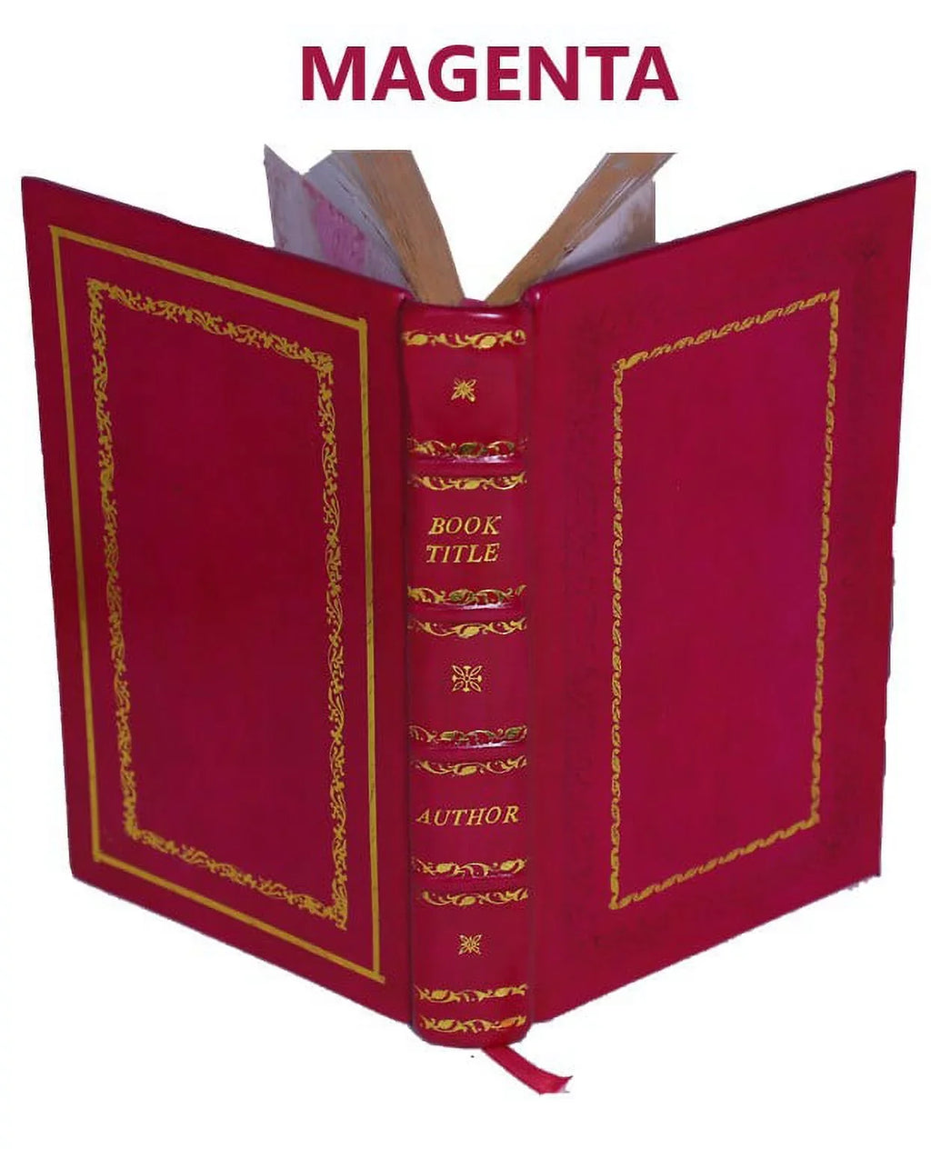 Fallacy of Ghosts, Dreams, and Omens With Stories of Witchcraft, Life-in-death, and Monomania 1848 [Premium Leather Bound]