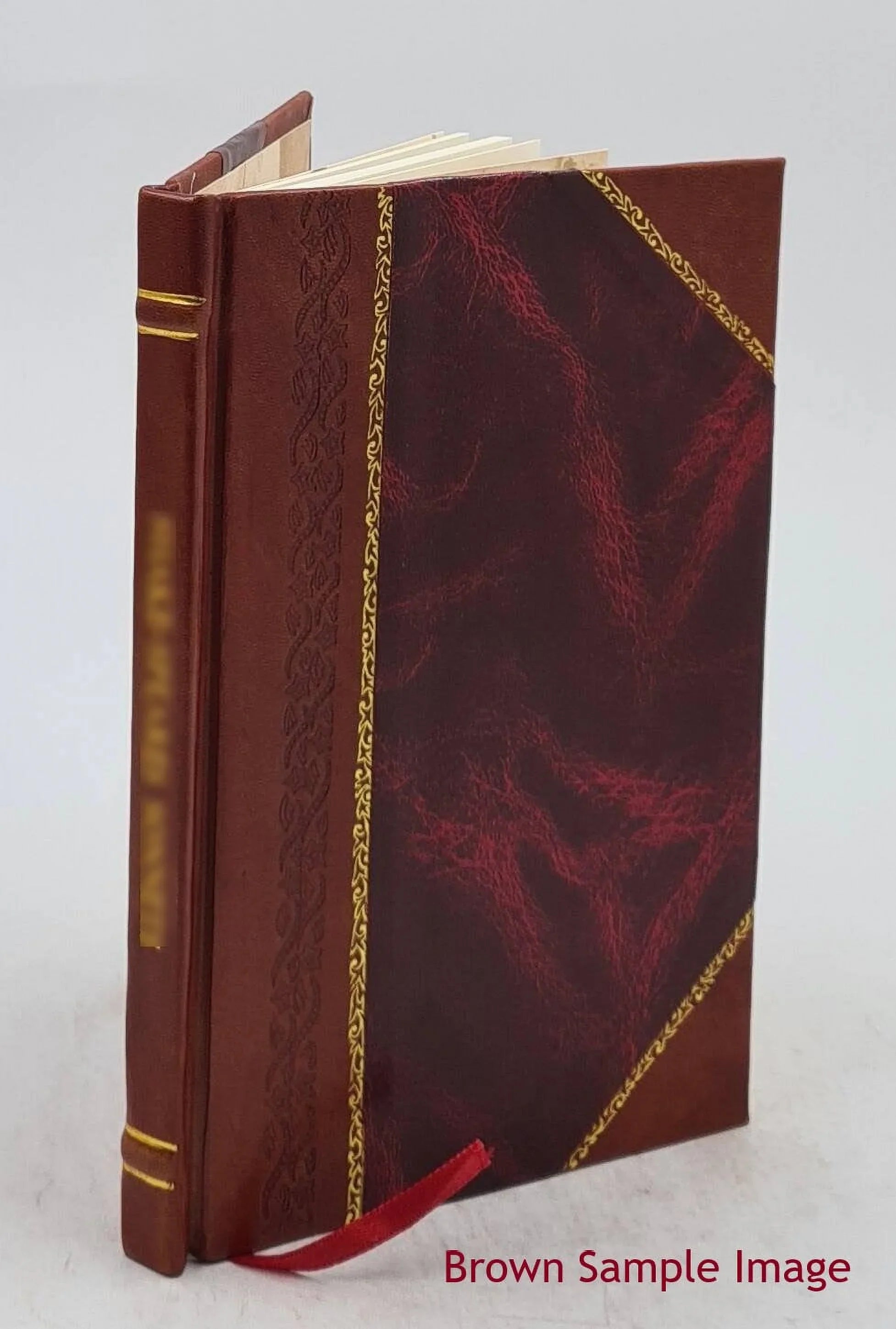 The theory of educational sloyd : the only authorized edition of the lectures of Otto Salomon. 1896 [Leather Bound]