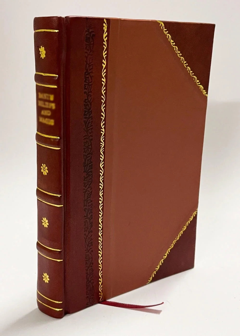Portfolio of Ancient Capital Letters, Monograms, Quaint Designs : &C. &C. Coloured and Tinted ; Eighteen Plates / 1859 Edition (1859) [Leather Bound]