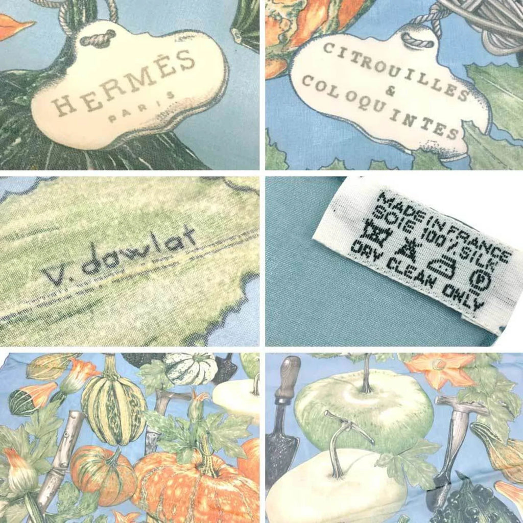 Pre-Owned HERMES Hermes Carre 90 Scarf Muffler CITROUILLES & COLOQUINTES Pumpkin and colocynth Silk muslin 100% silk Chiffon scarf (Good)