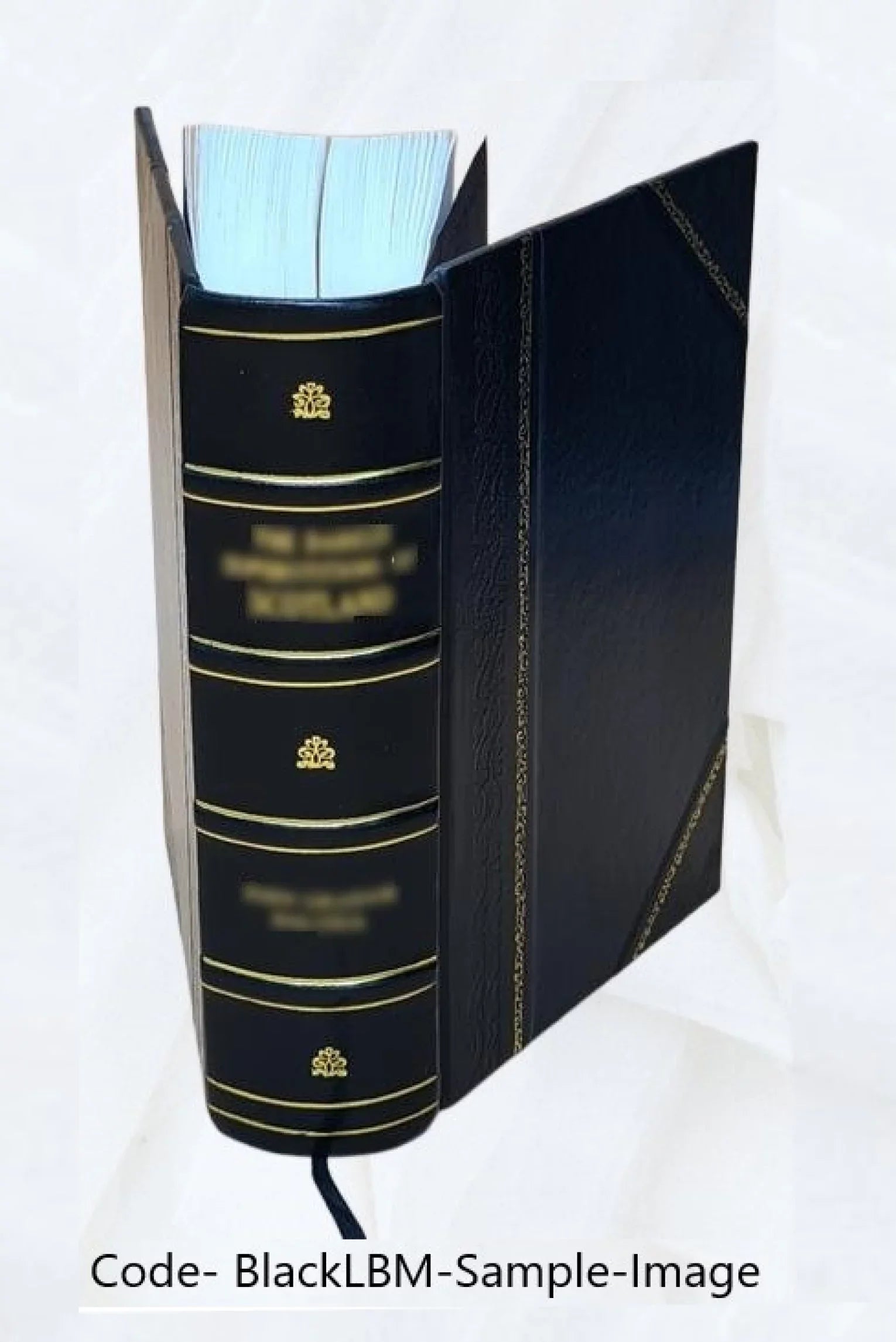 The records of Holy Trinity (Old Swedes) Church, Wilmington, Del., from 1697 to 1773 1890 [Leather Bound]